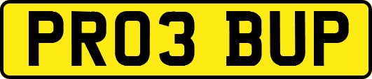 PR03BUP