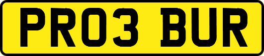 PR03BUR