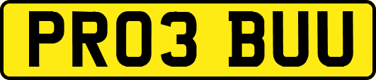 PR03BUU