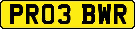 PR03BWR