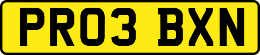 PR03BXN