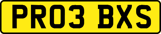 PR03BXS