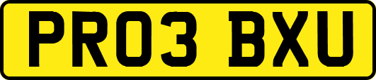 PR03BXU