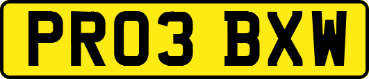 PR03BXW