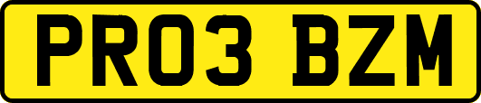 PR03BZM