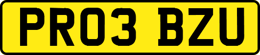 PR03BZU