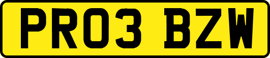 PR03BZW