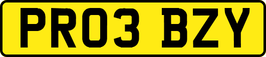 PR03BZY