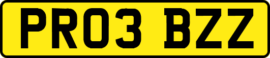 PR03BZZ