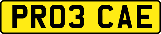 PR03CAE