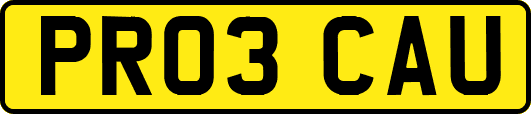 PR03CAU