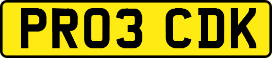 PR03CDK