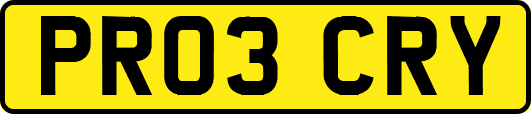 PR03CRY