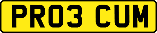 PR03CUM