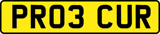 PR03CUR