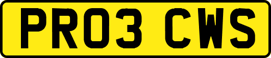 PR03CWS