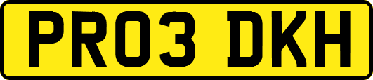 PR03DKH