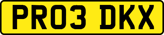 PR03DKX