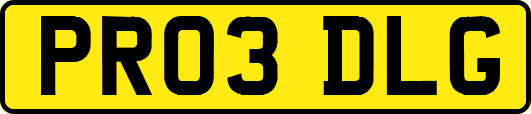 PR03DLG