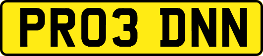 PR03DNN