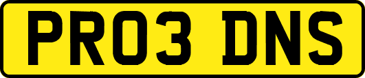 PR03DNS