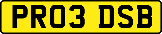 PR03DSB