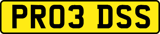 PR03DSS
