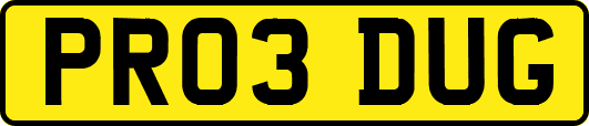 PR03DUG