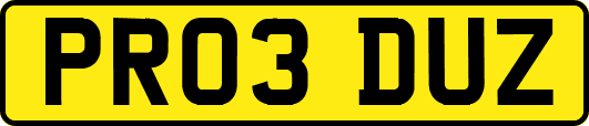 PR03DUZ