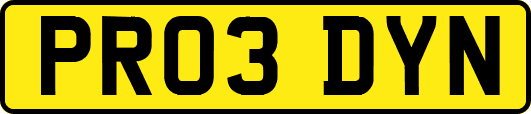 PR03DYN