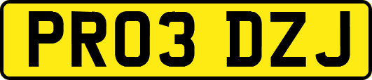 PR03DZJ