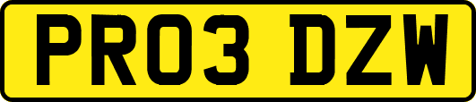 PR03DZW