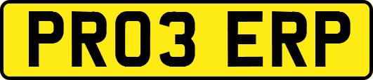 PR03ERP