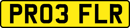 PR03FLR