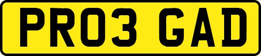 PR03GAD
