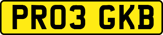 PR03GKB
