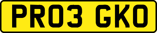 PR03GKO