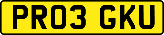 PR03GKU
