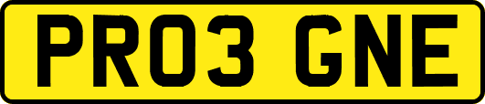 PR03GNE