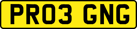 PR03GNG