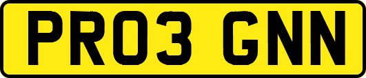 PR03GNN