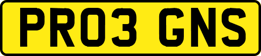 PR03GNS