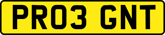 PR03GNT