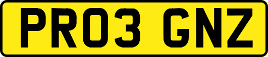 PR03GNZ
