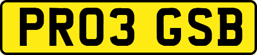 PR03GSB