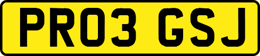 PR03GSJ