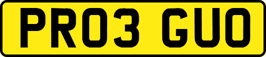PR03GUO