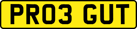 PR03GUT