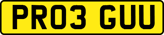 PR03GUU