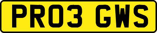 PR03GWS